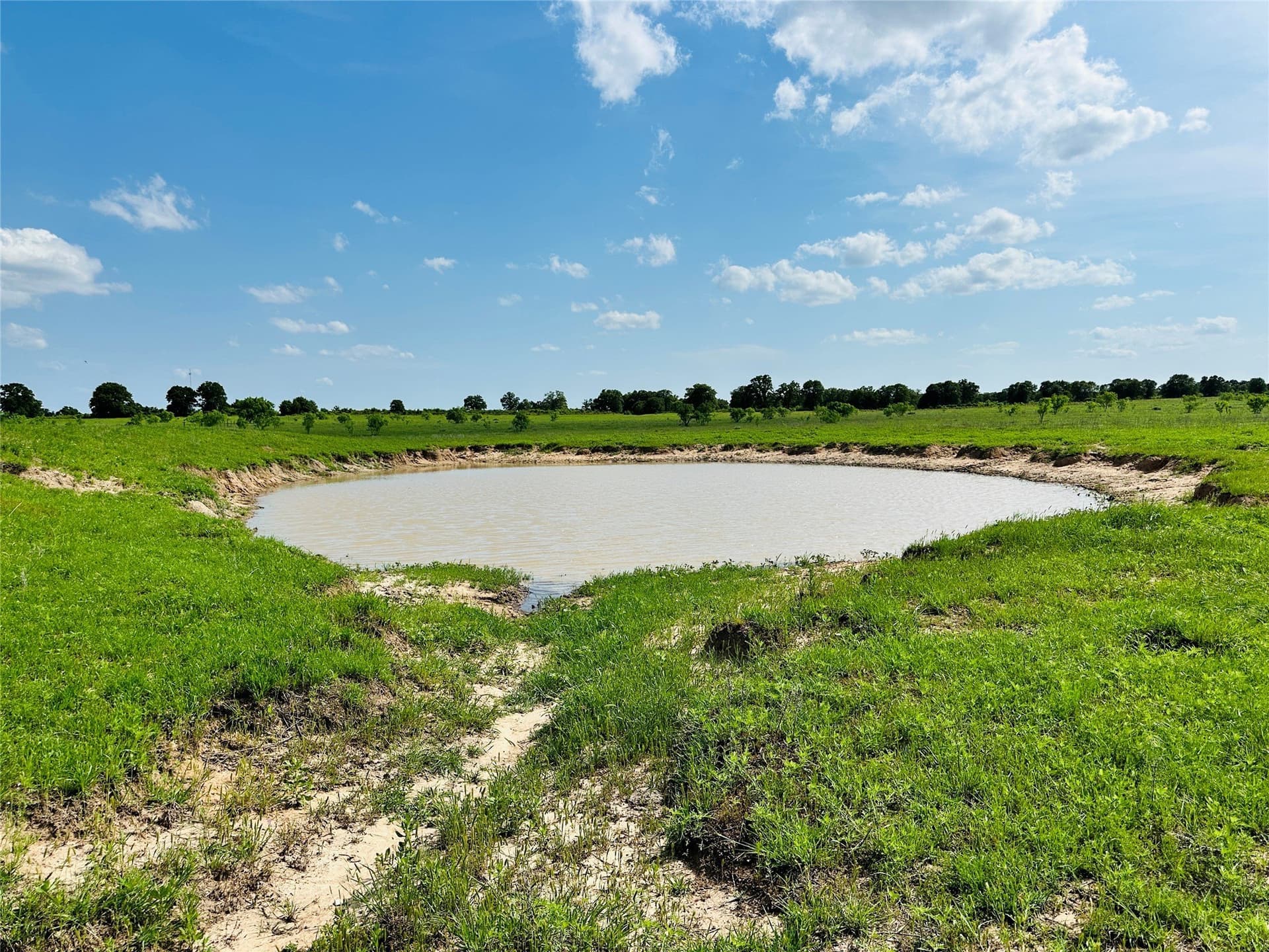 125 acres in Callahan County - photo 28