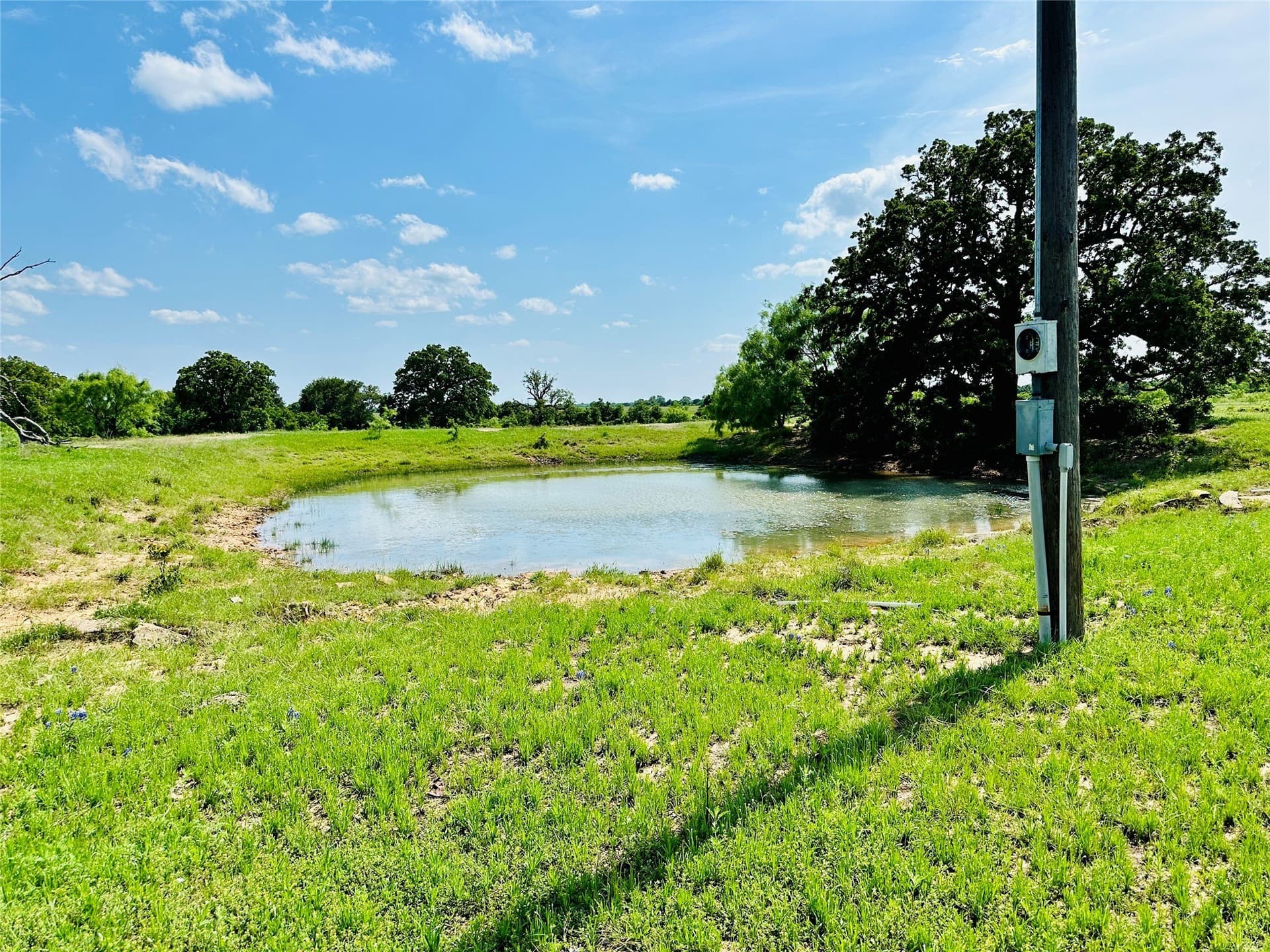 125 acres in Callahan County - photo 20