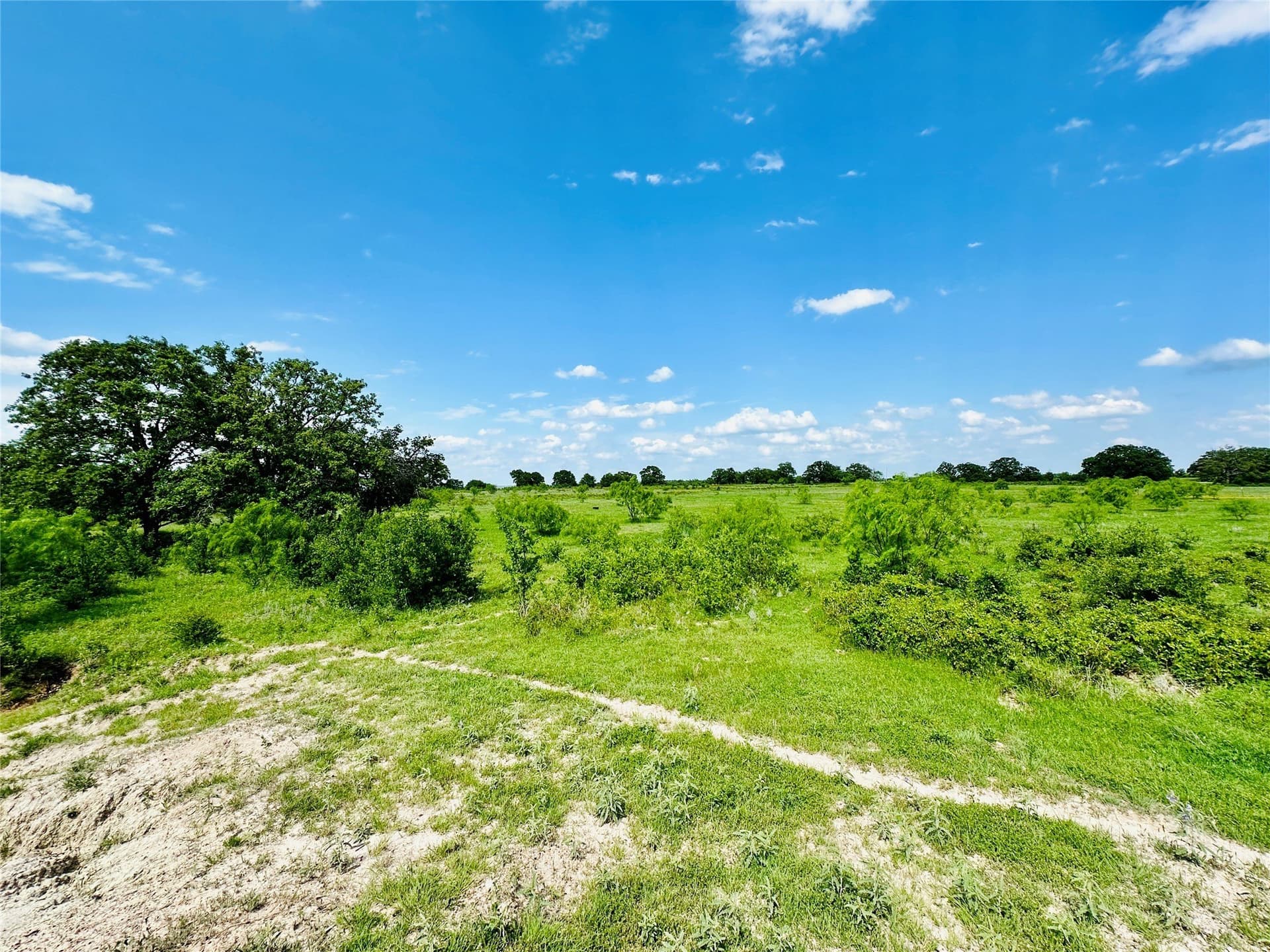 125 acres in Callahan County - photo 10