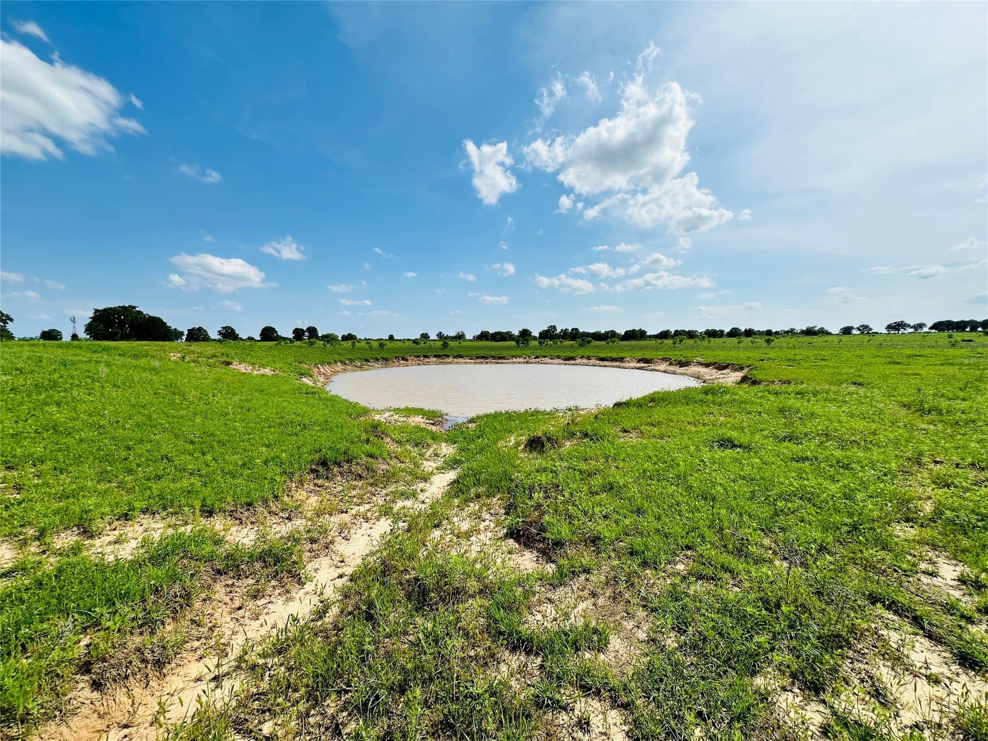 125 acres in Callahan County - photo 29