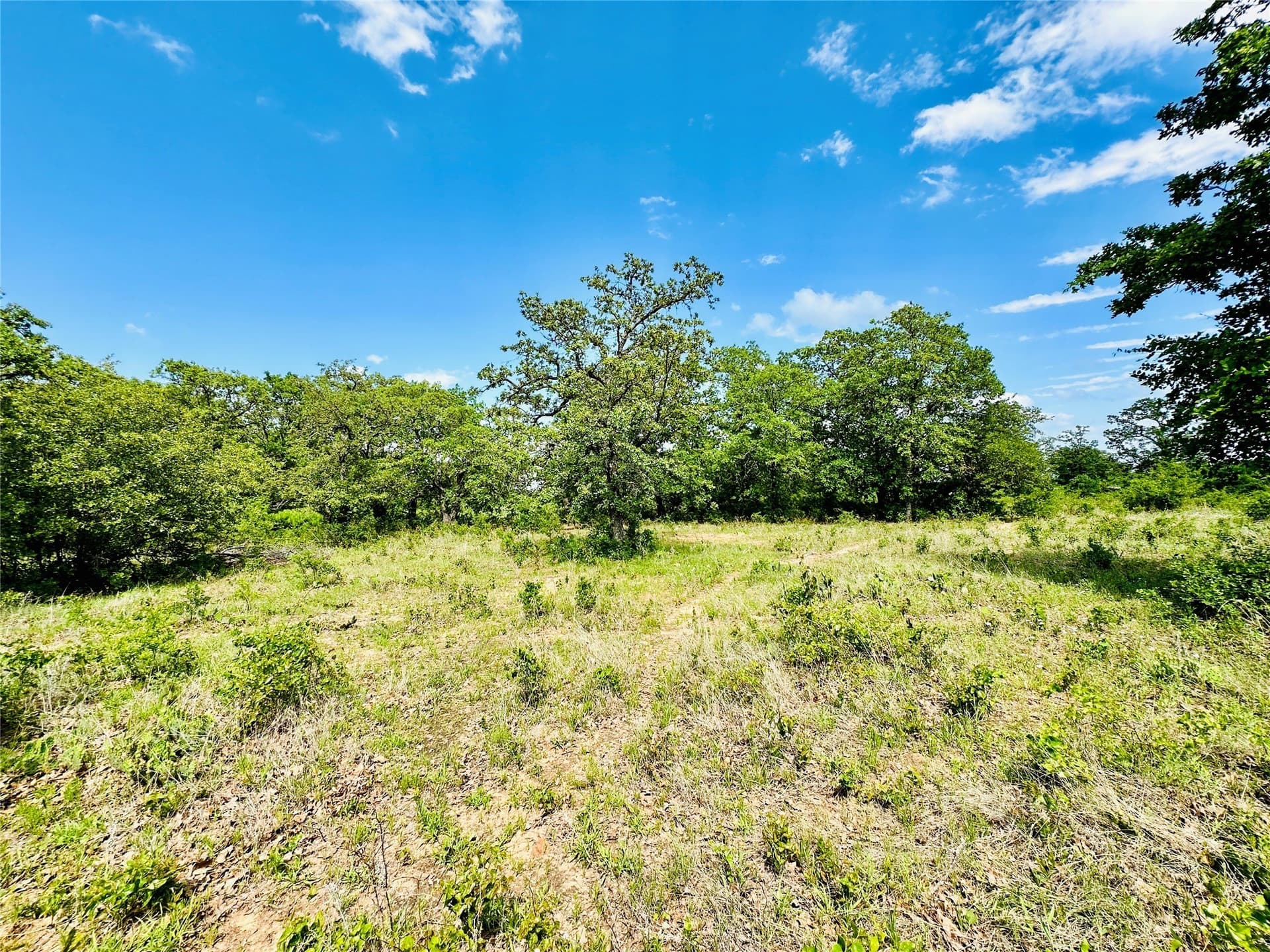 125 acres in Callahan County - photo 6