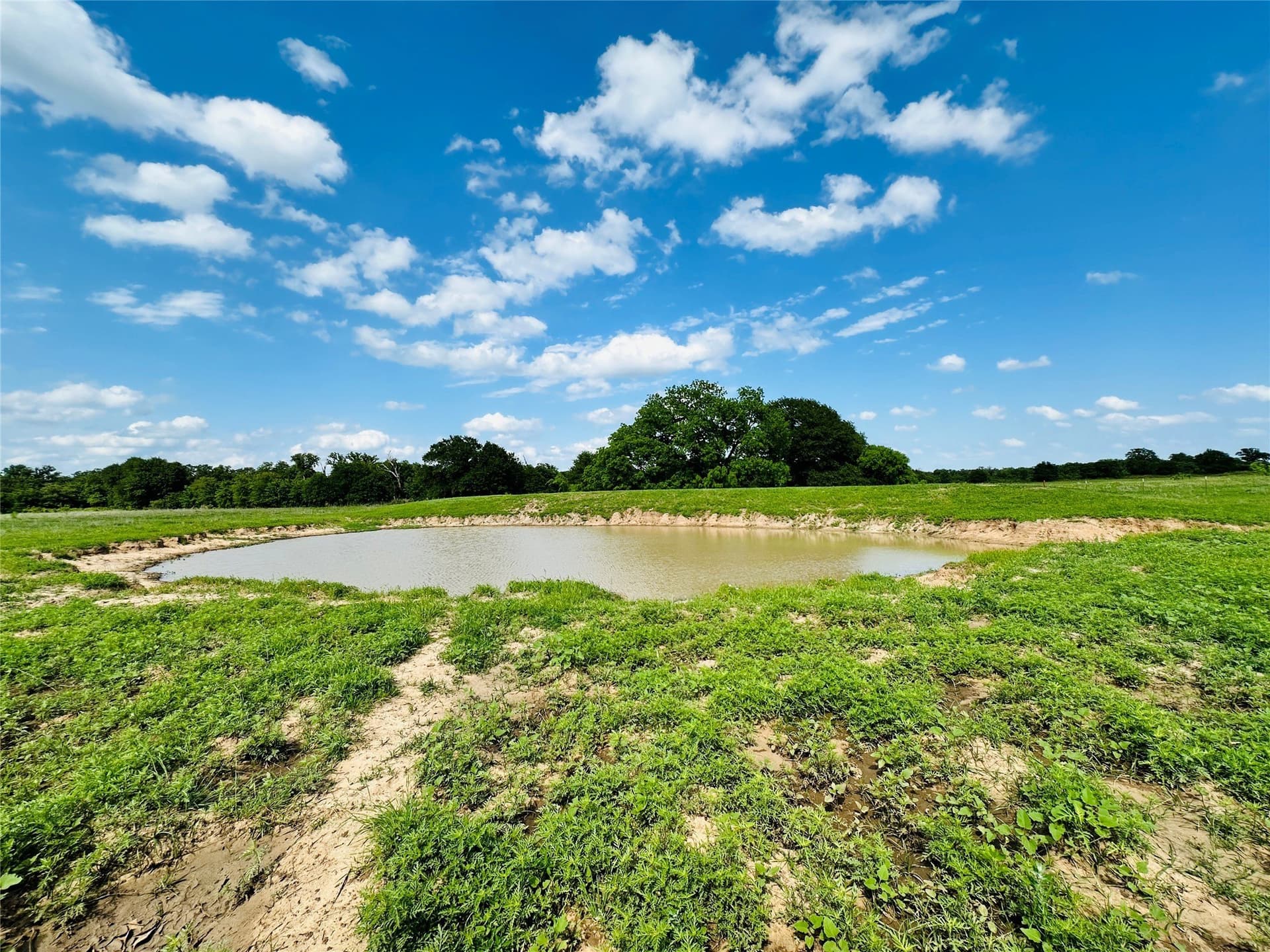 125 acres in Callahan County - photo 30