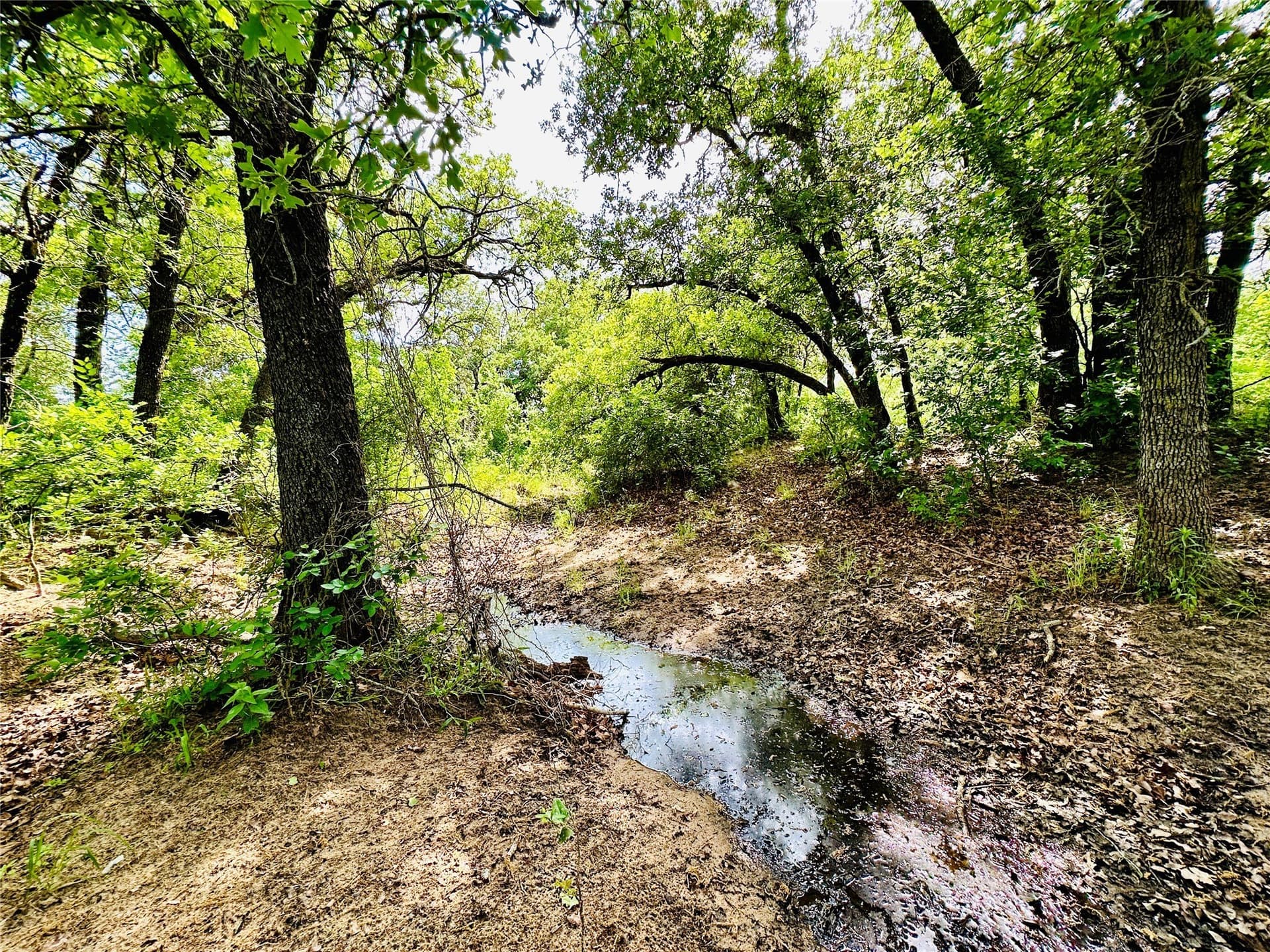 125 acres in Callahan County - photo 26