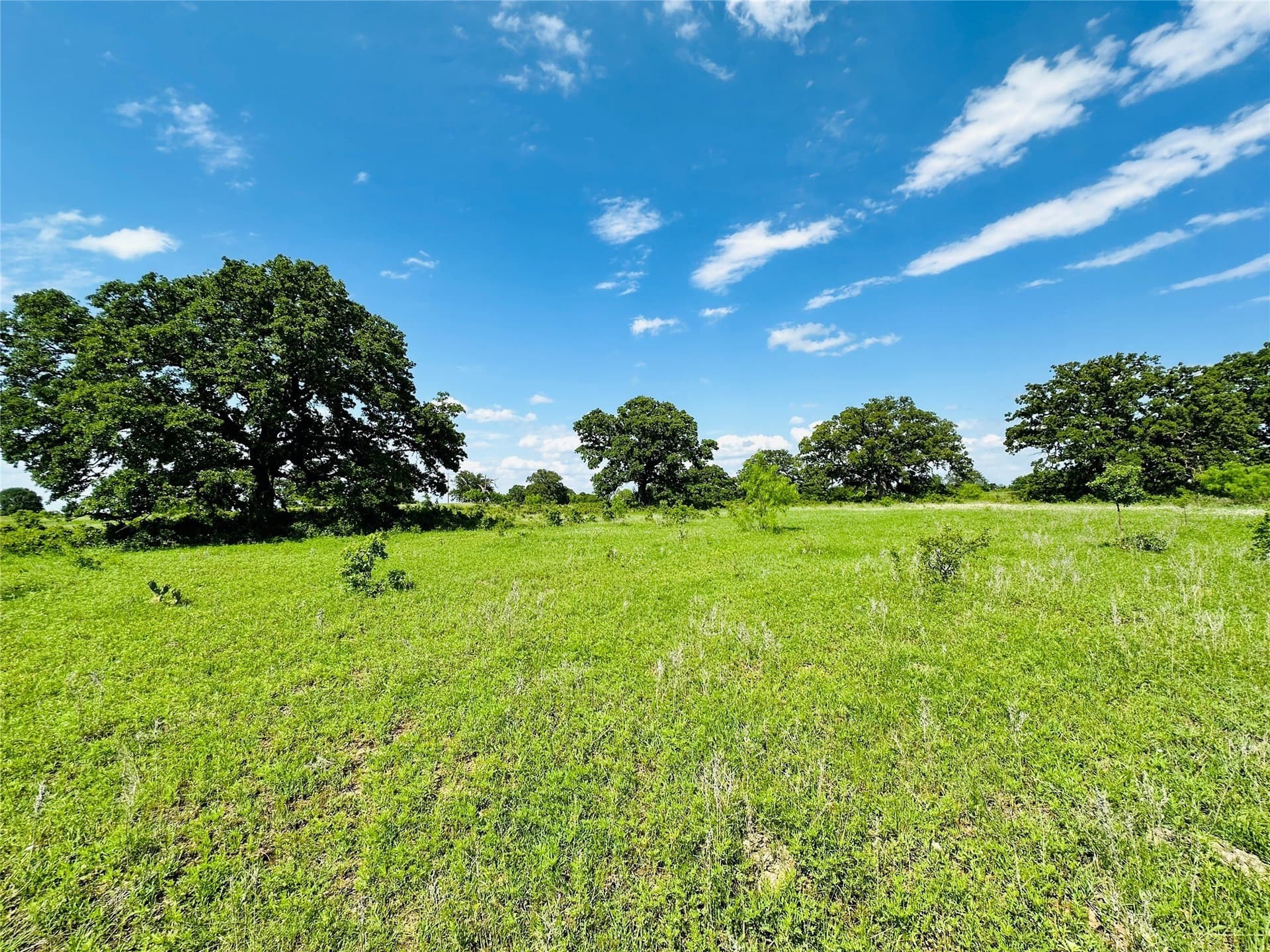 125 acres in Callahan County - photo 14
