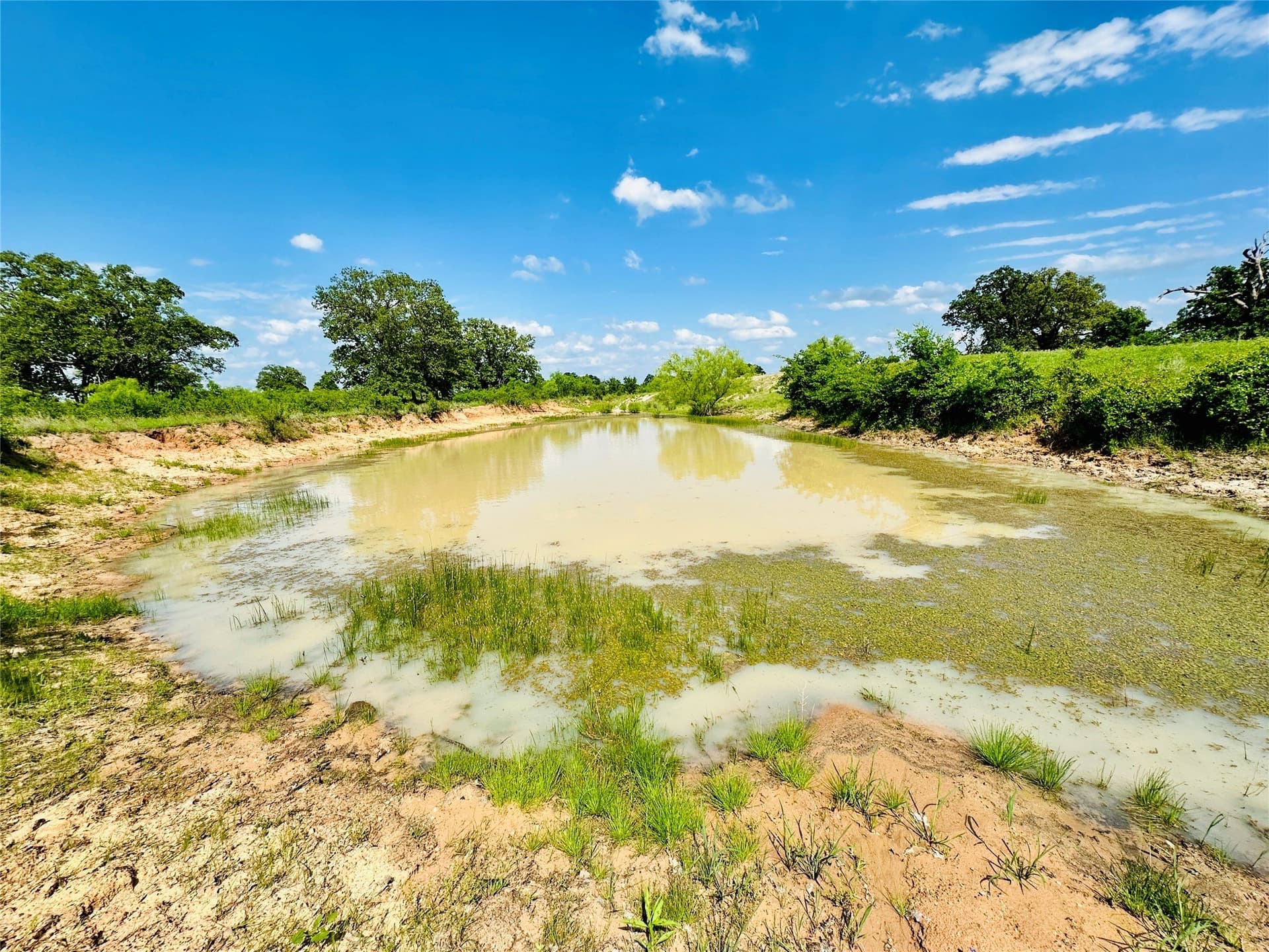 125 acres in Callahan County - photo 8