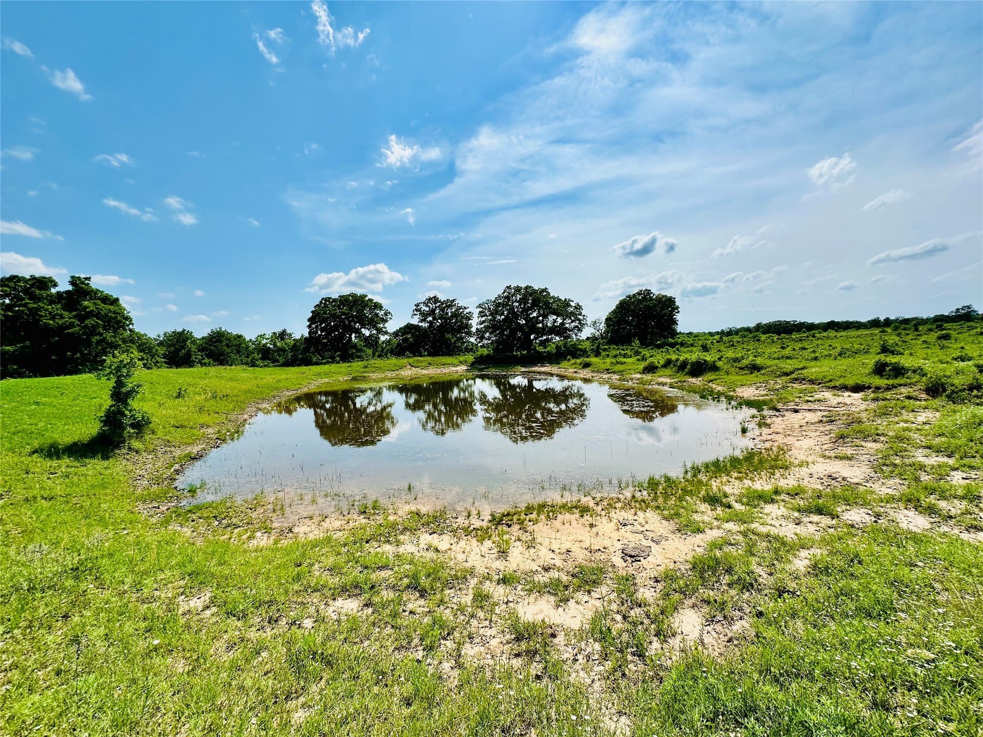 125 acres in Callahan County - photo 16