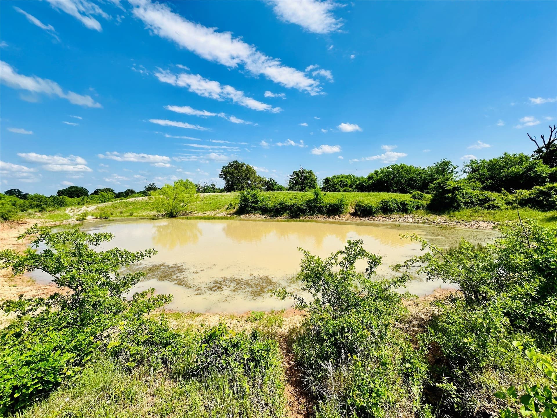125 acres in Callahan County - photo 7
