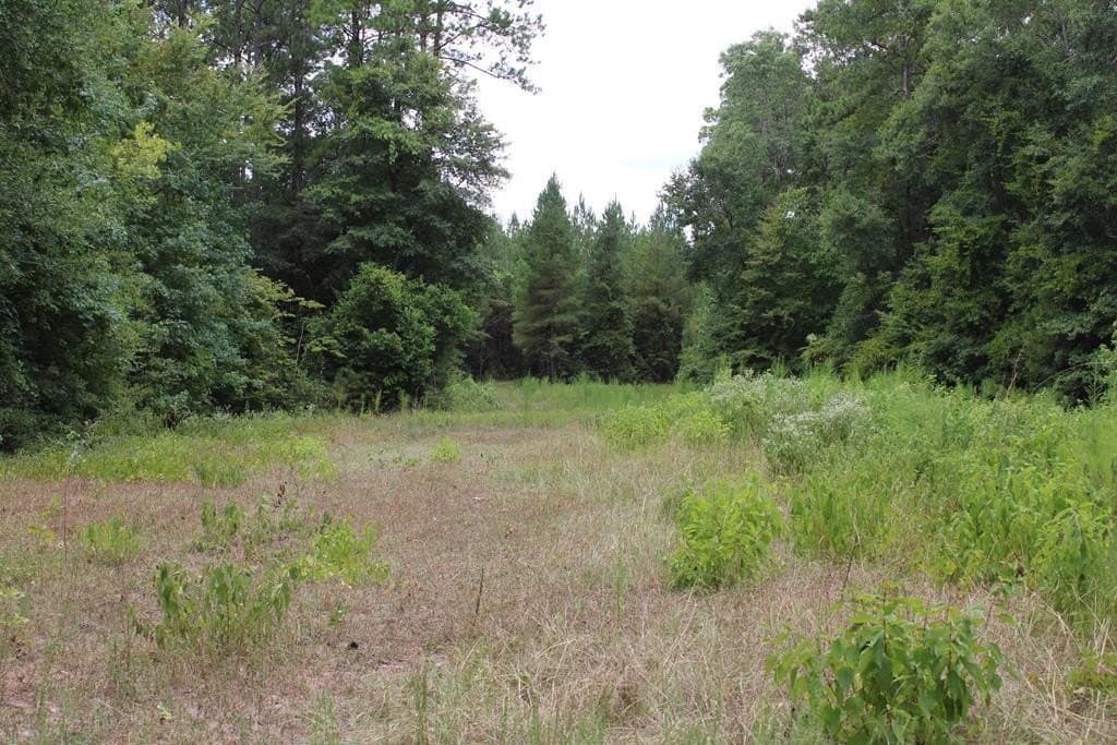 120 acres in Texas County gallery image 2