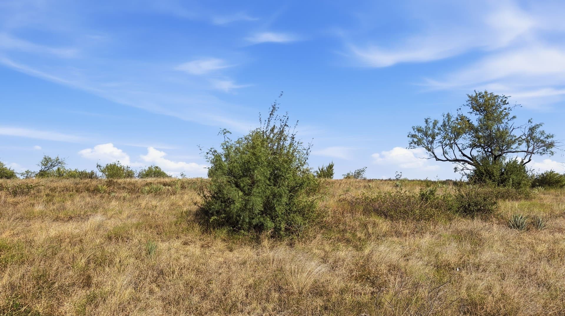 10.01 acres in Comanche County - photo 7