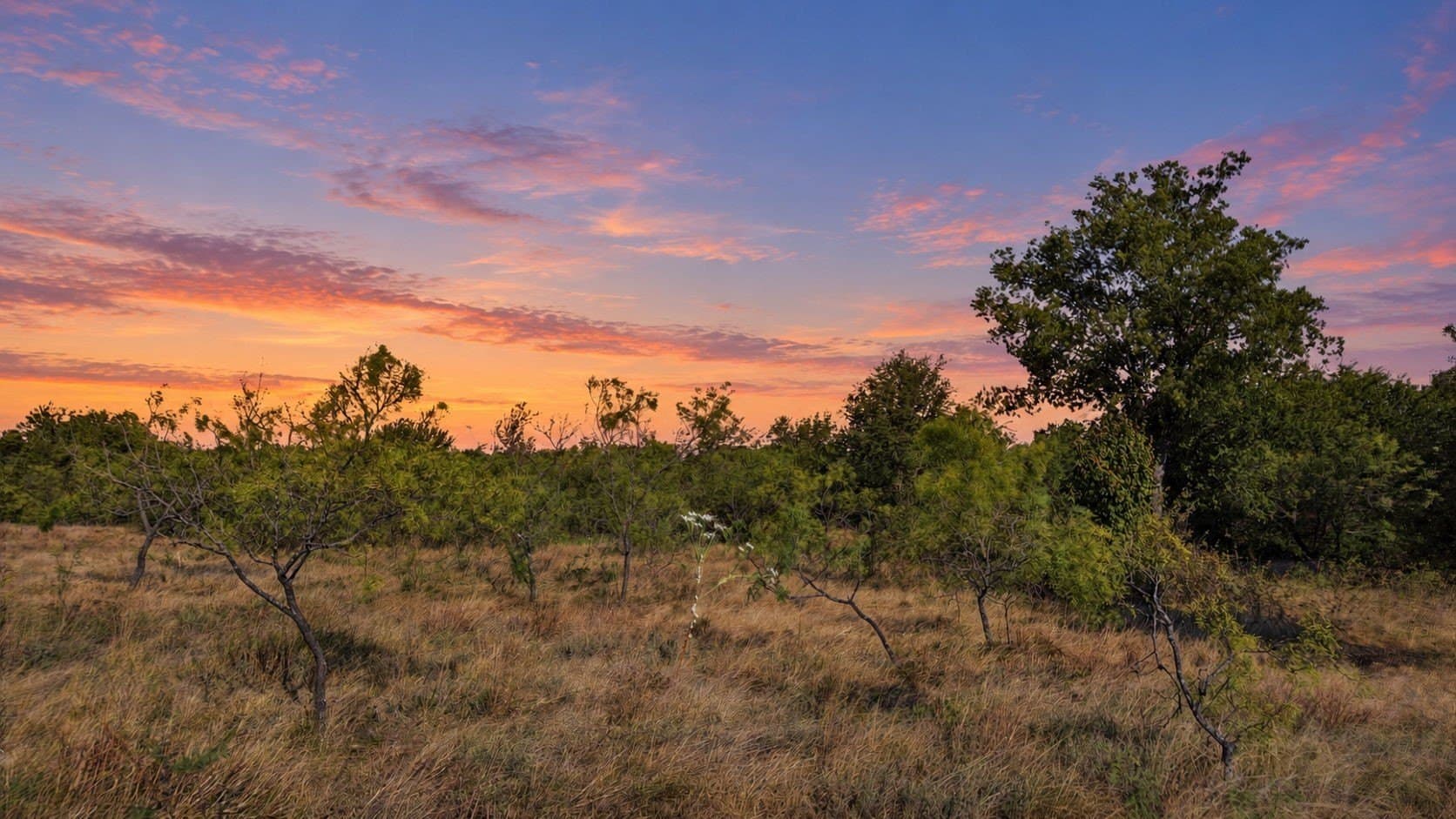 10.01 acres in Comanche County