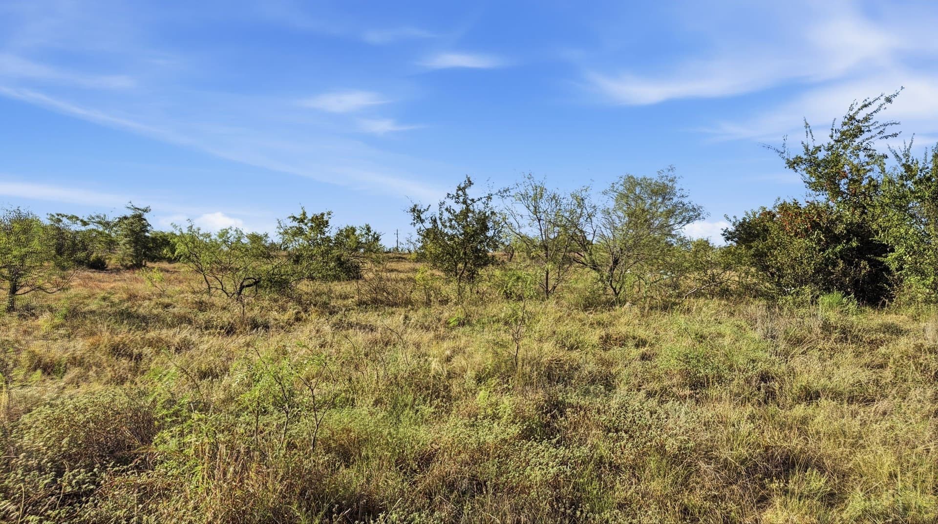 10.01 acres in Comanche County - photo 16