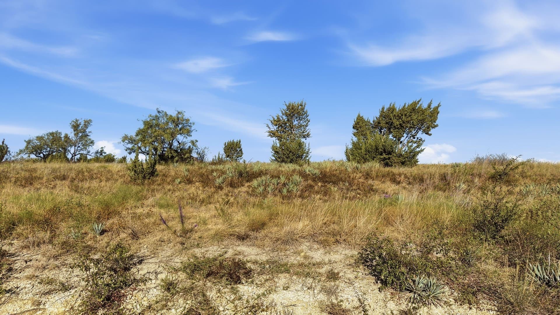 10.01 acres in Comanche County - photo 3