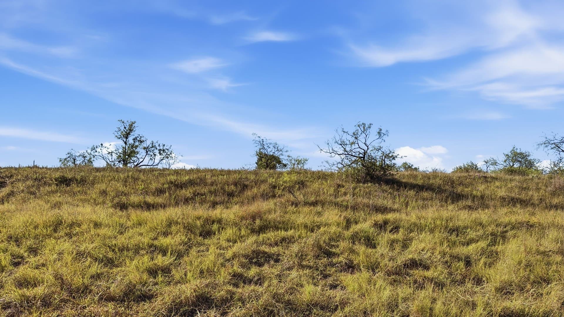 10.01 acres in Comanche County - photo 11