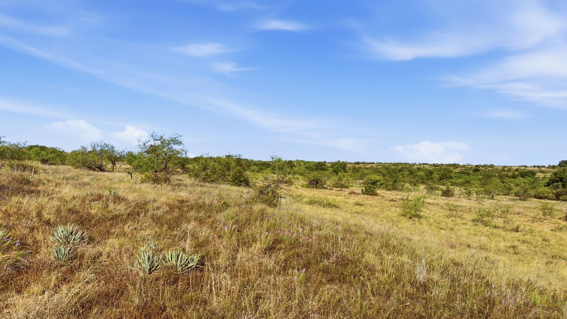 10.01 acres in Comanche County - photo 10