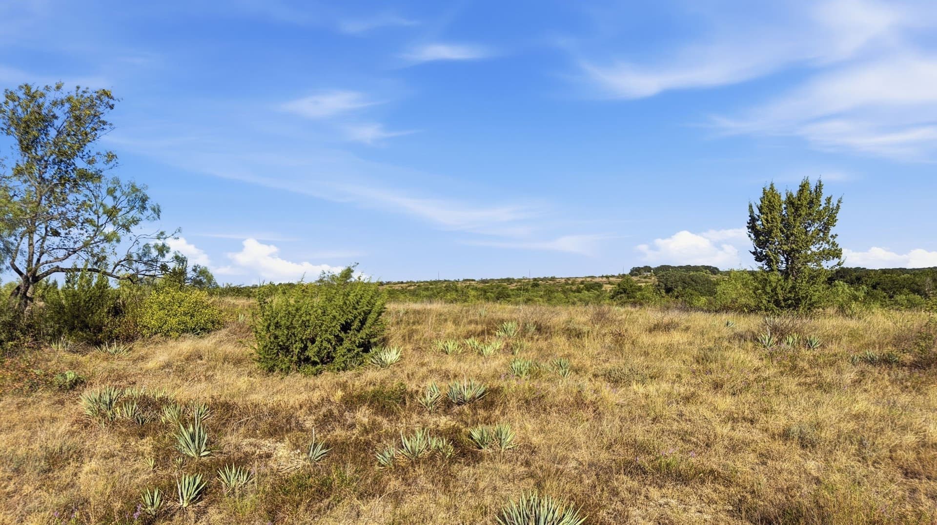10.01 acres in Comanche County - photo 2