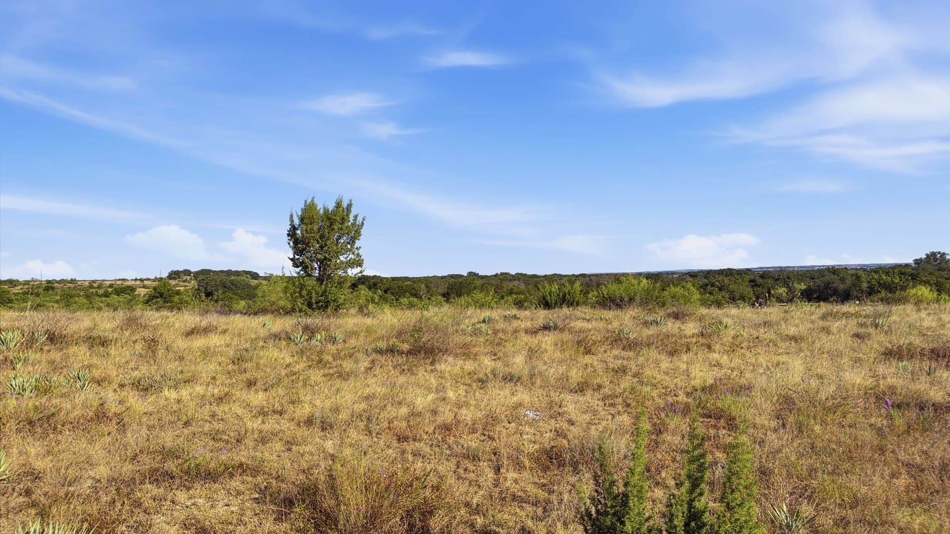 10.01 acres in Comanche County - photo 8