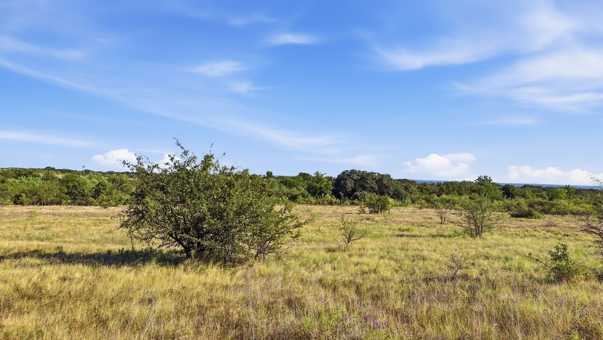 10.01 acres in Comanche County - photo 19