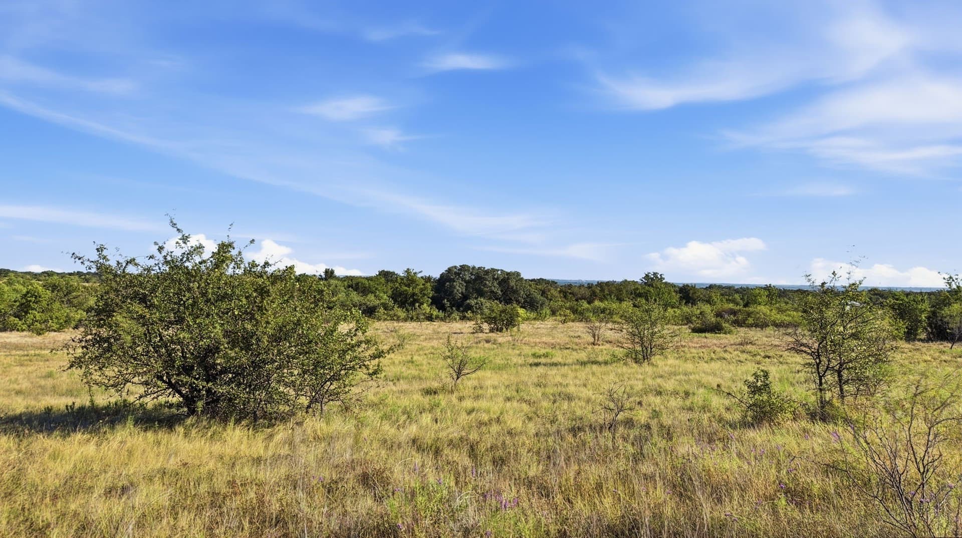 10.01 acres in Comanche County - photo 20