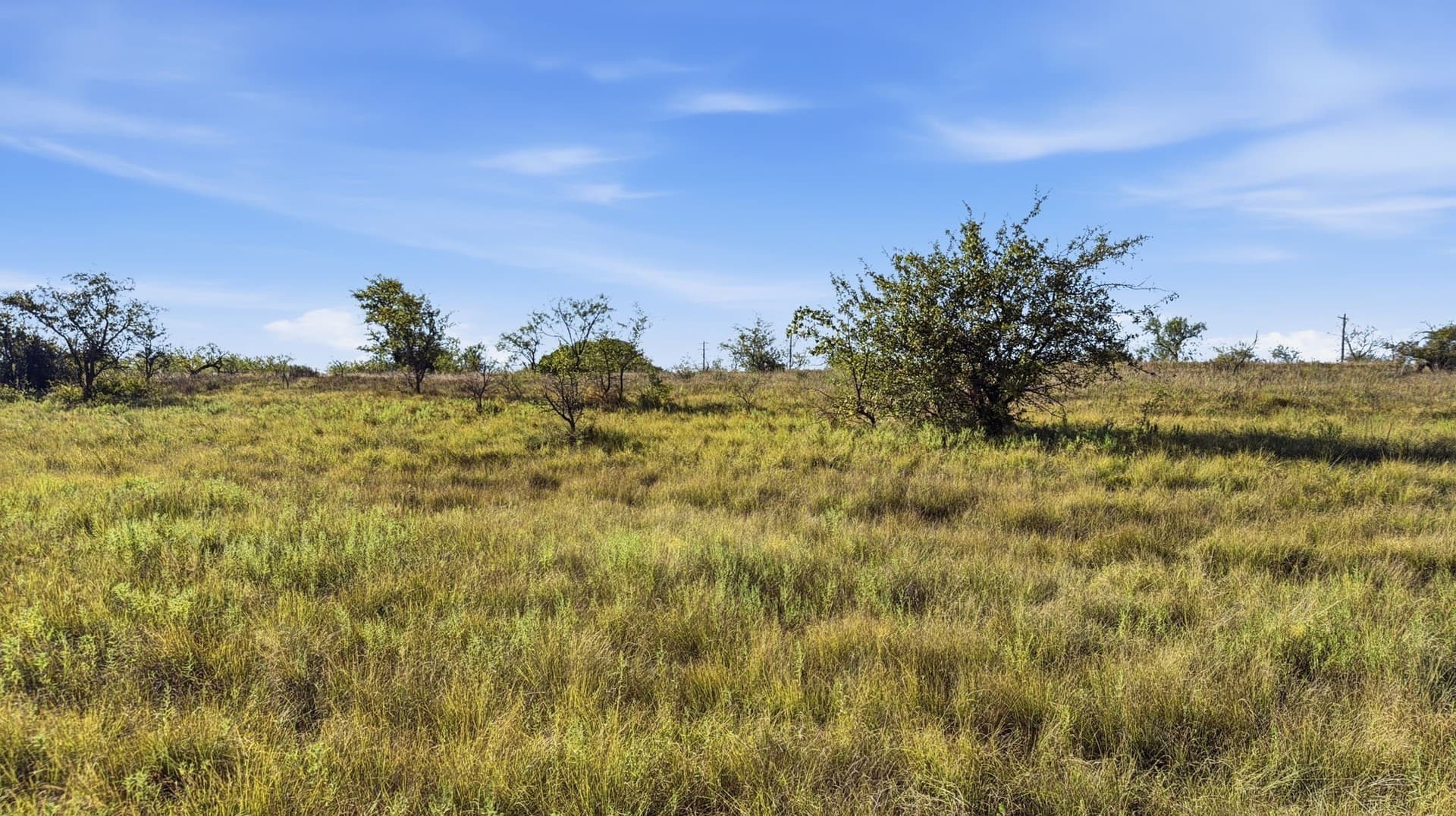 10.01 acres in Comanche County - photo 18