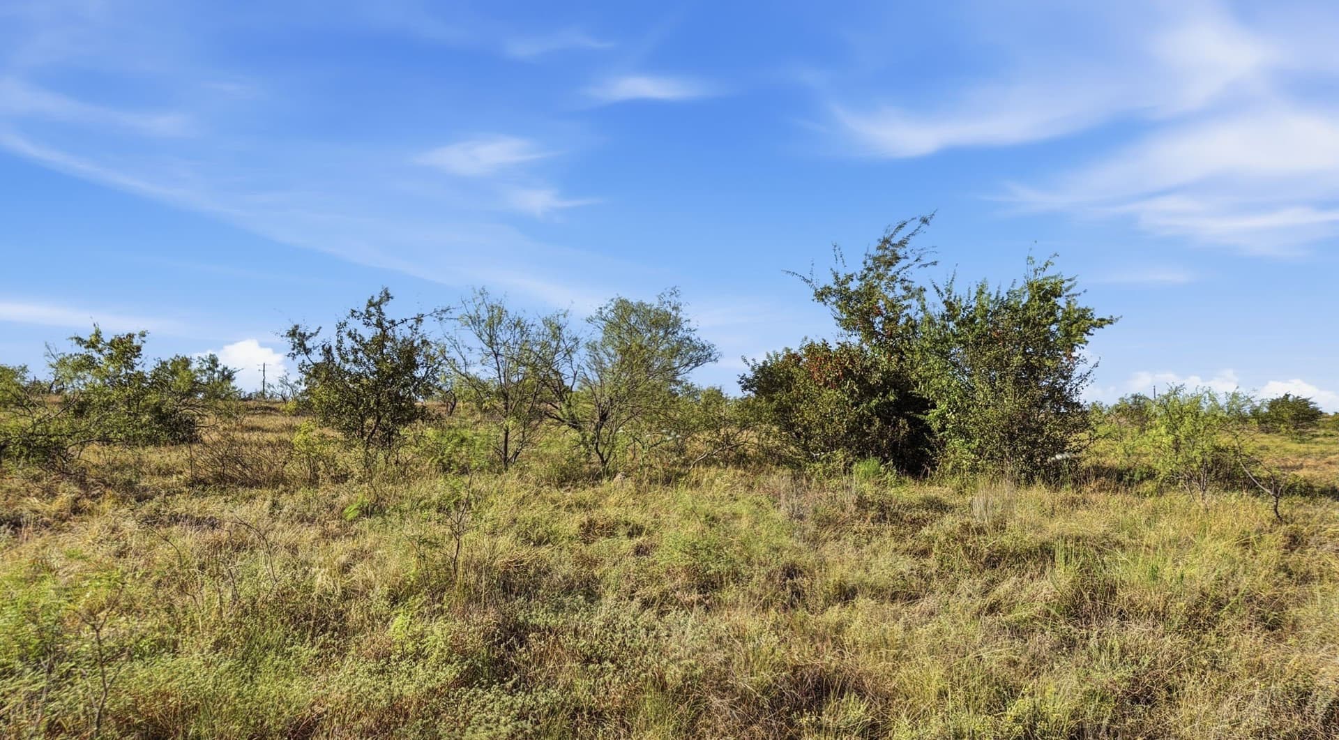 10.01 acres in Comanche County - photo 15