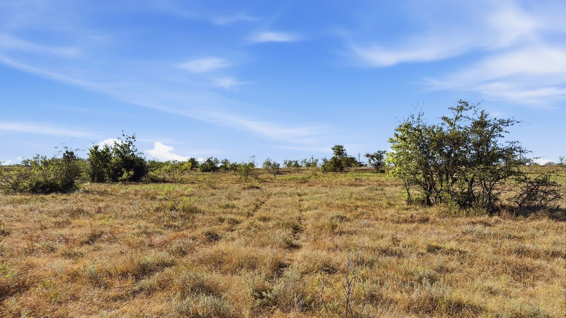 10.01 acres in Comanche County - photo 17