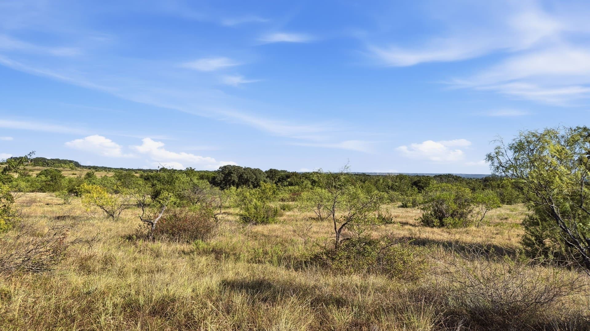 10.01 acres in Comanche County - photo 21
