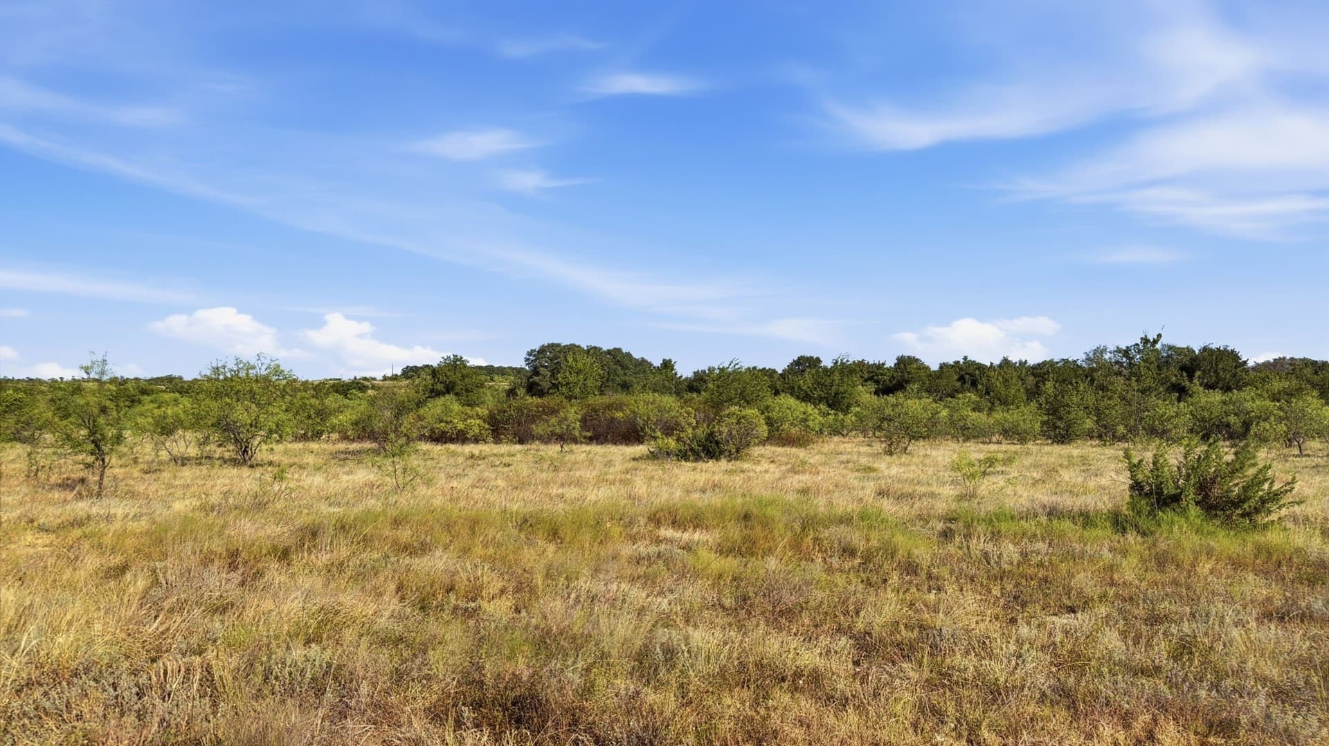 10.01 acres in Comanche County - photo 12