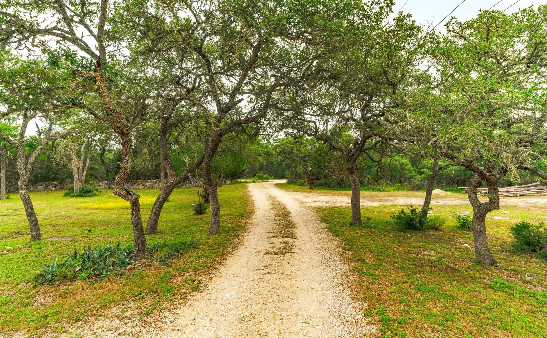 20 acres in Hays County - photo 3