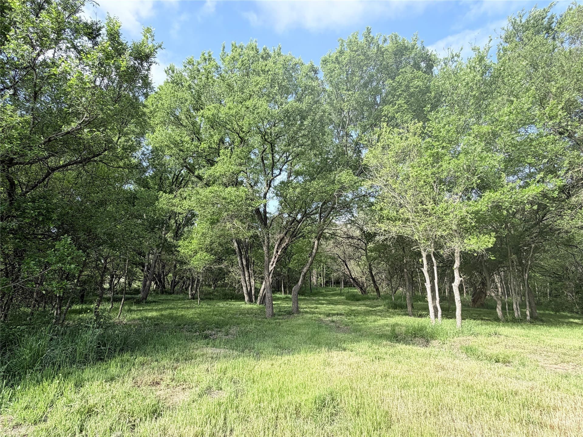 28 acres in Hill County gallery image 3