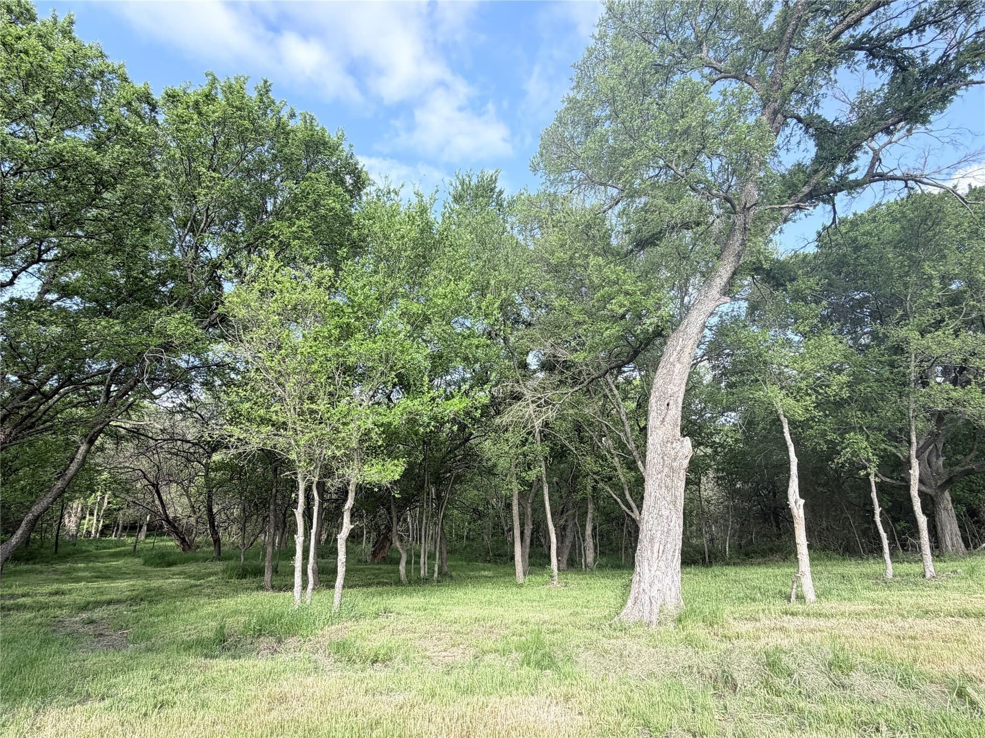 28 acres in Hill County gallery image 2