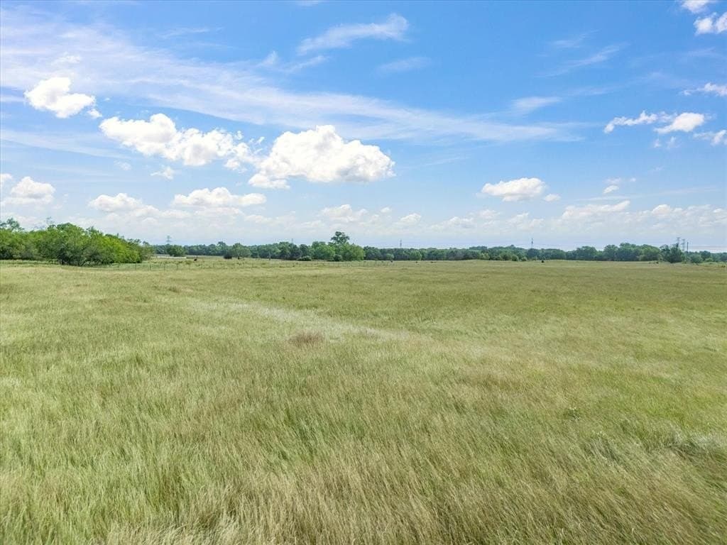 30 acres in Navarro County gallery image 2