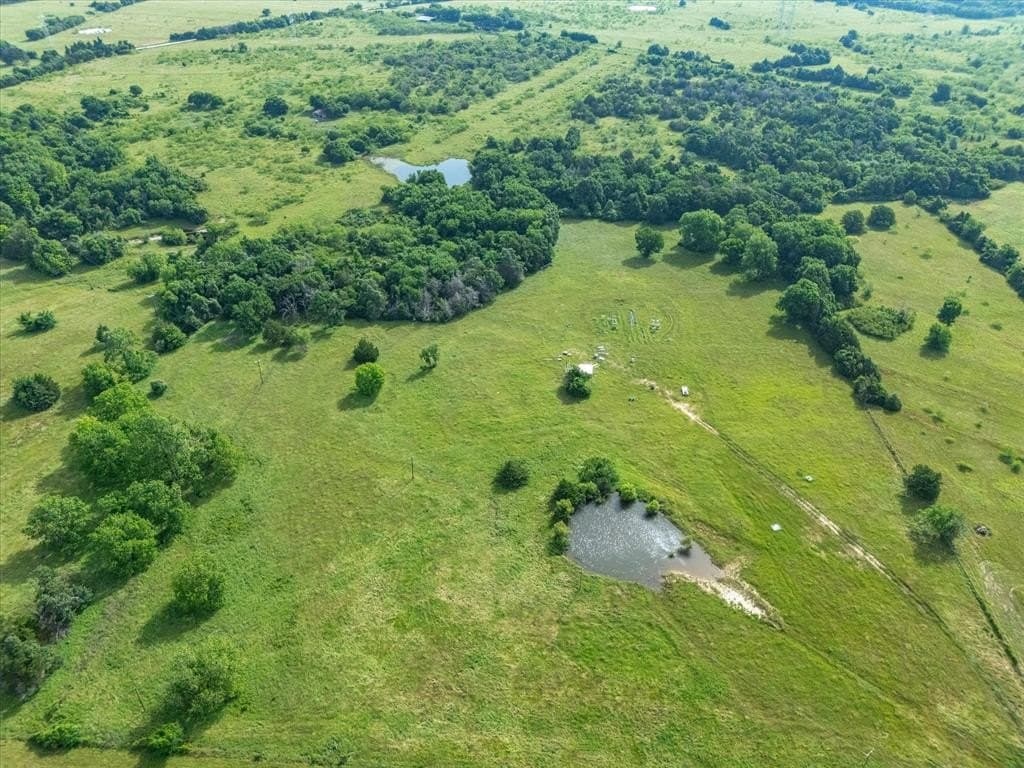 30 acres in Navarro County gallery image 4