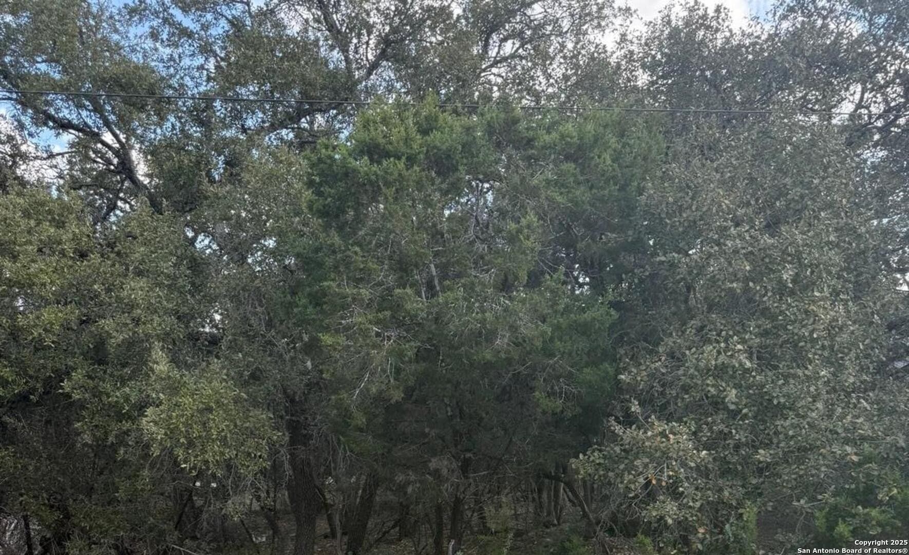 0.22 acres in Comal County featured view