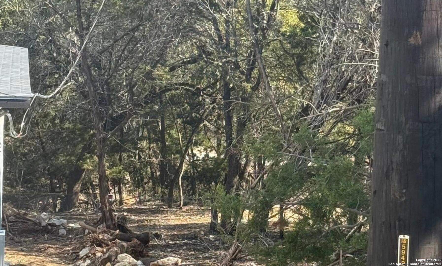 0.22 acres in Comal County gallery image 2