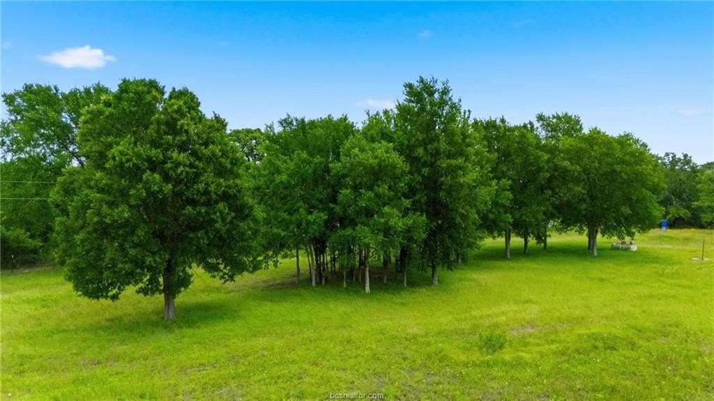 2 acres in Burleson County gallery image 4