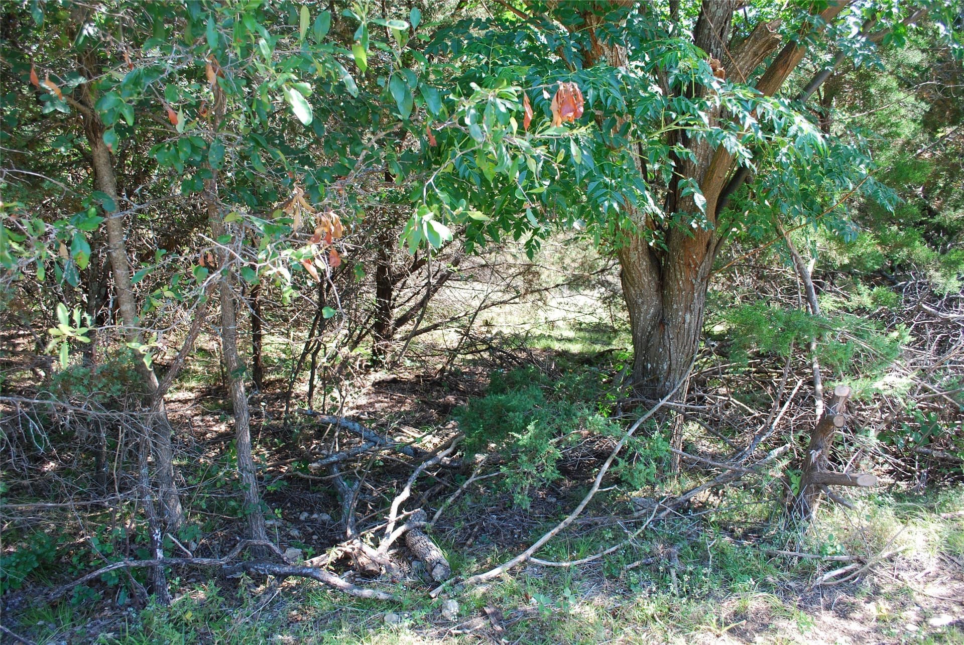 0.15 acres in Hill County gallery image 2