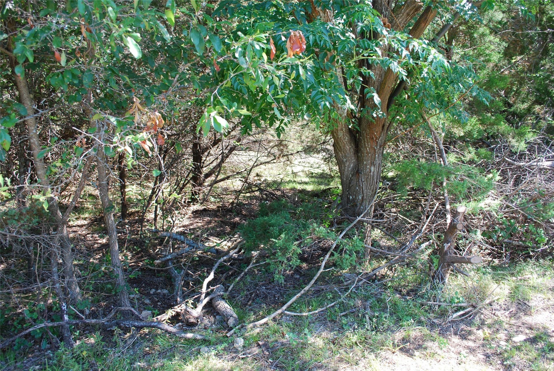 0.15 acres in Hill County gallery image 3