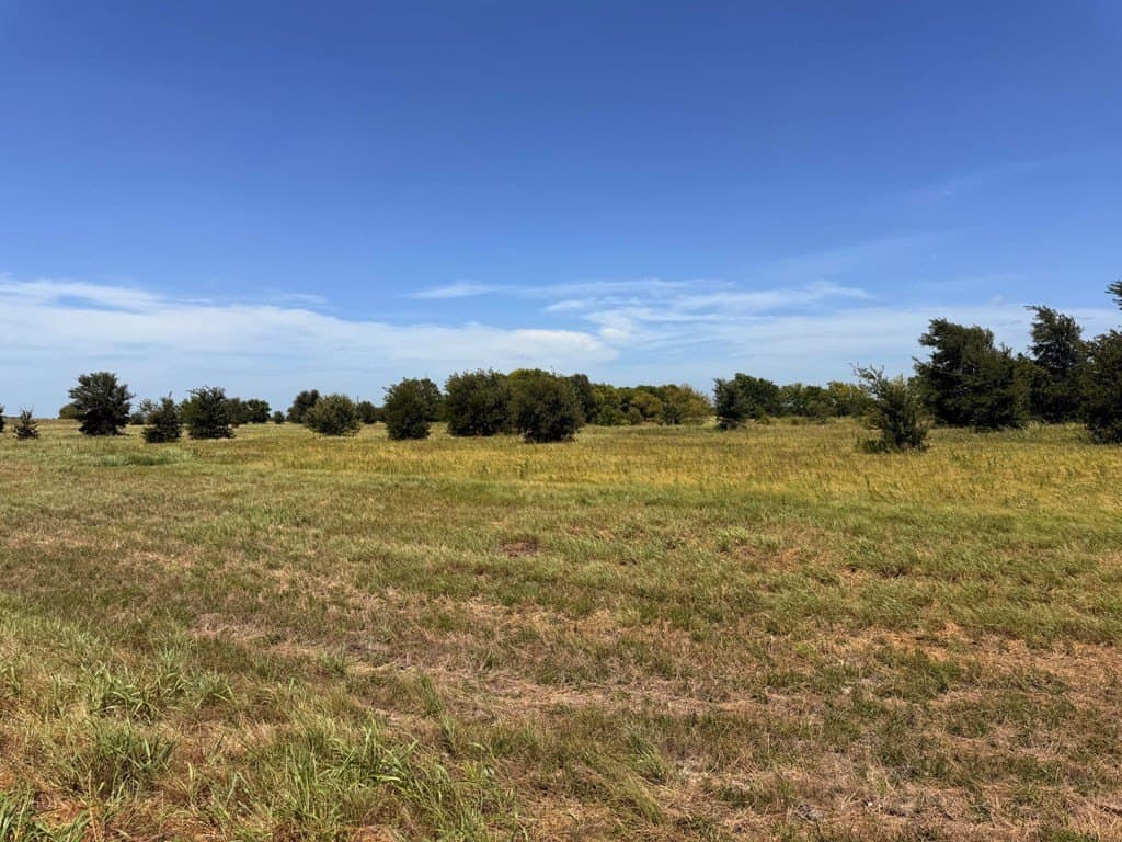 6.7 acres in Kaufman County - photo 6