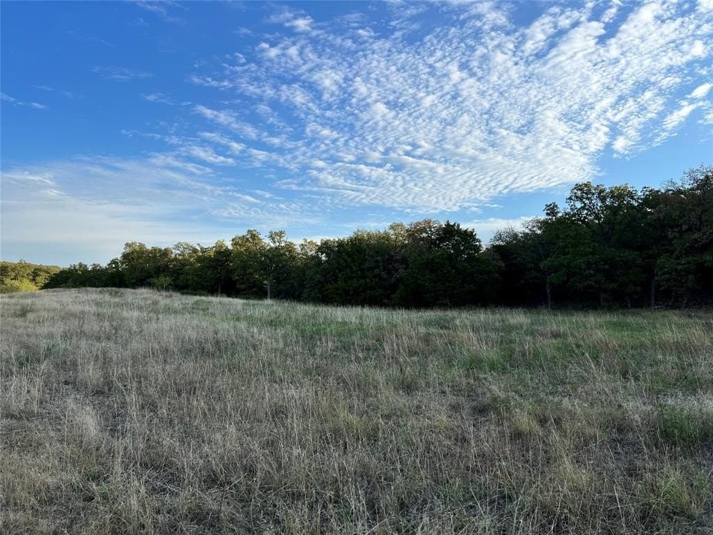 31.68 acres in Montague County featured view