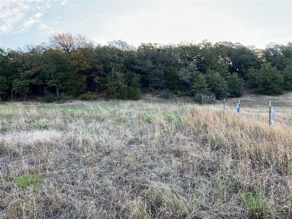 31.68 acres in Montague County gallery image 4