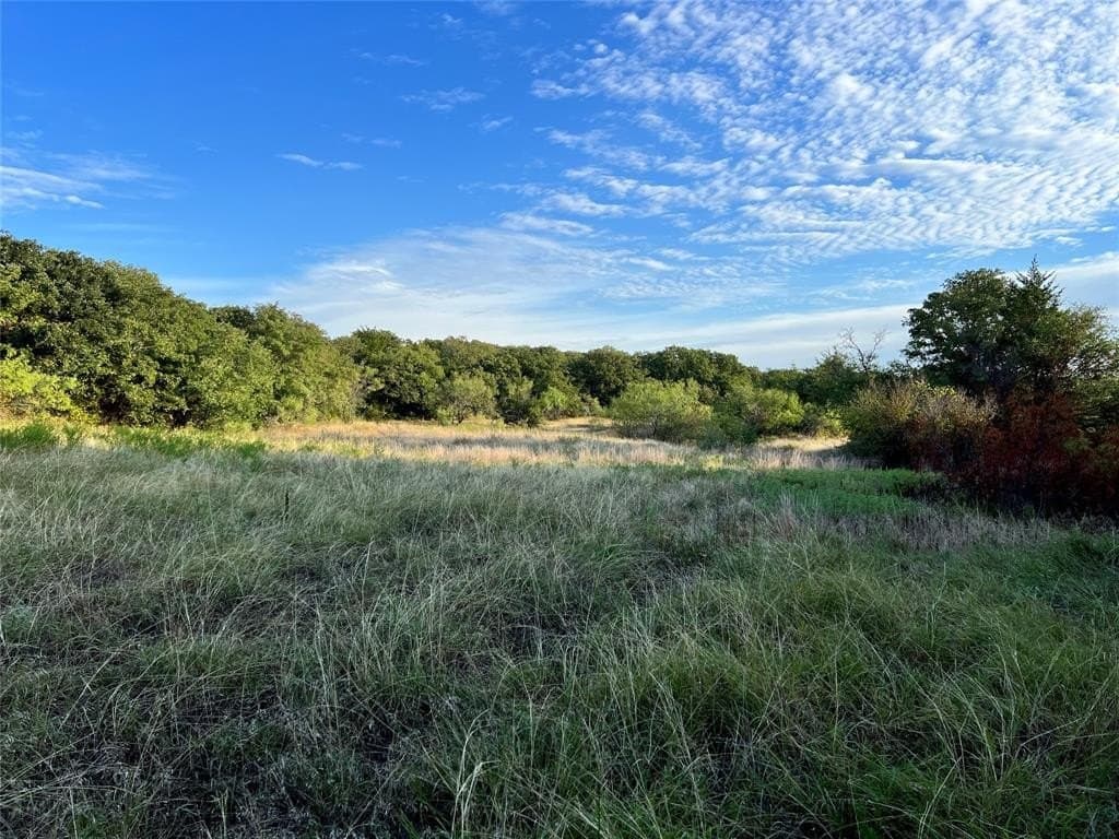31.68 acres in Montague County gallery image 3