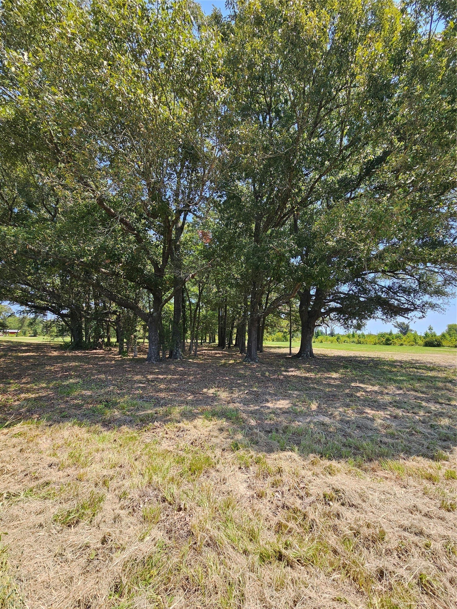 5.1 acres in Henderson County - photo 6