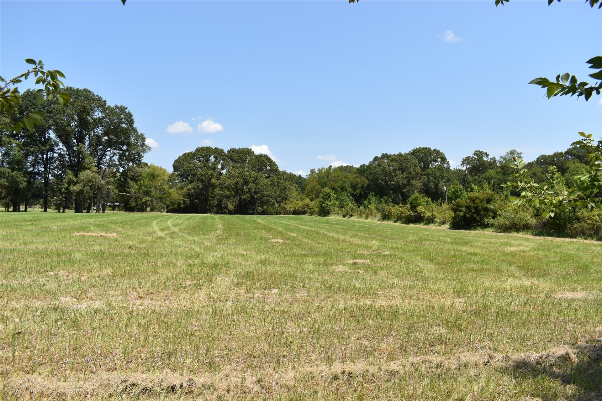 5.1 acres in Henderson County - photo 10