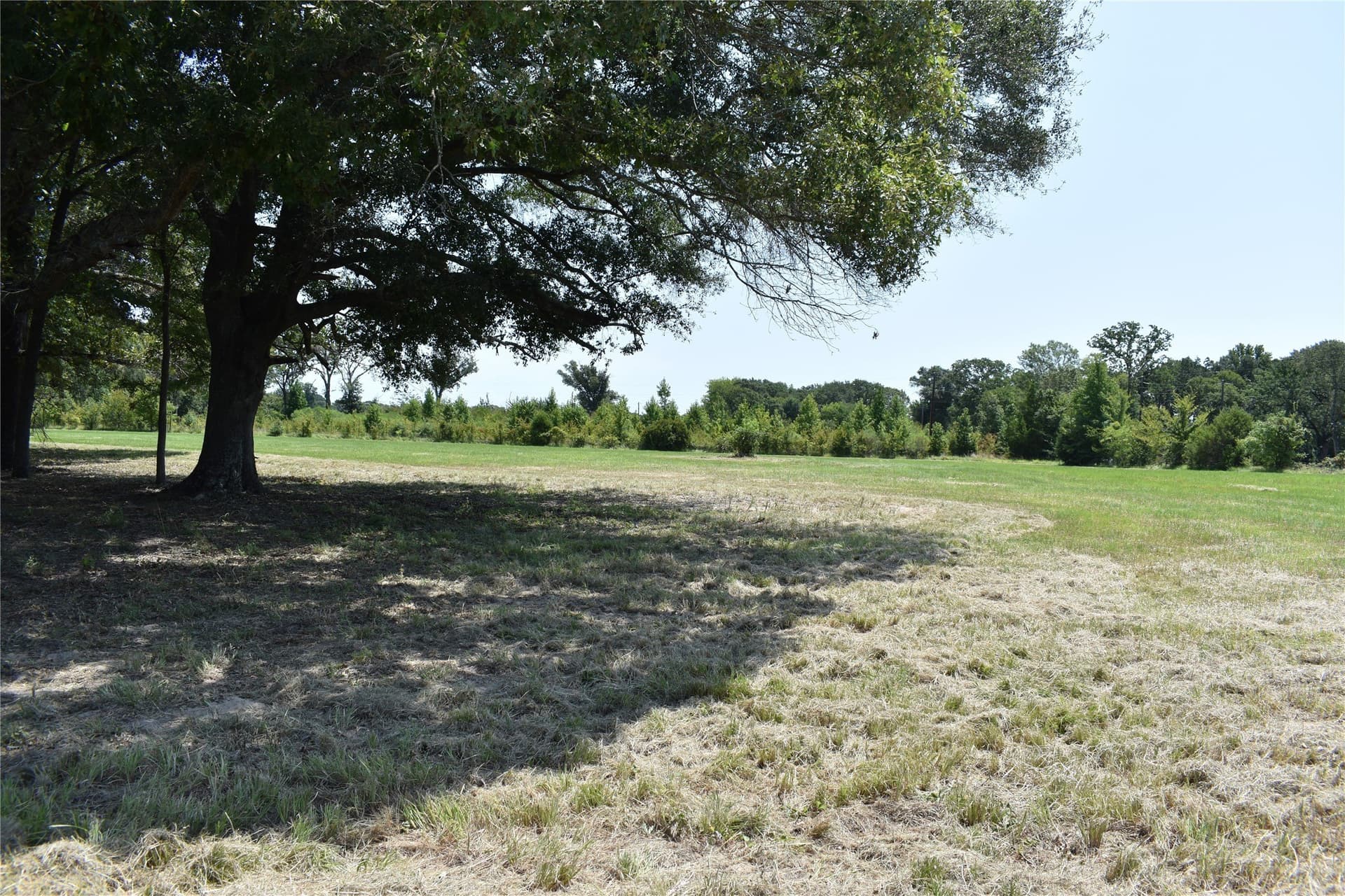 5.1 acres in Henderson County - photo 16