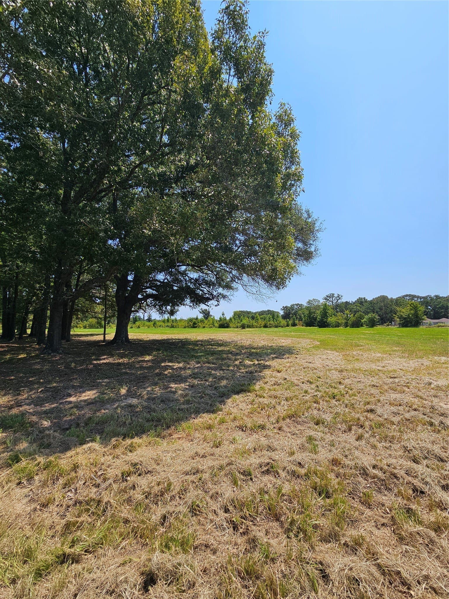 5.1 acres in Henderson County - photo 5