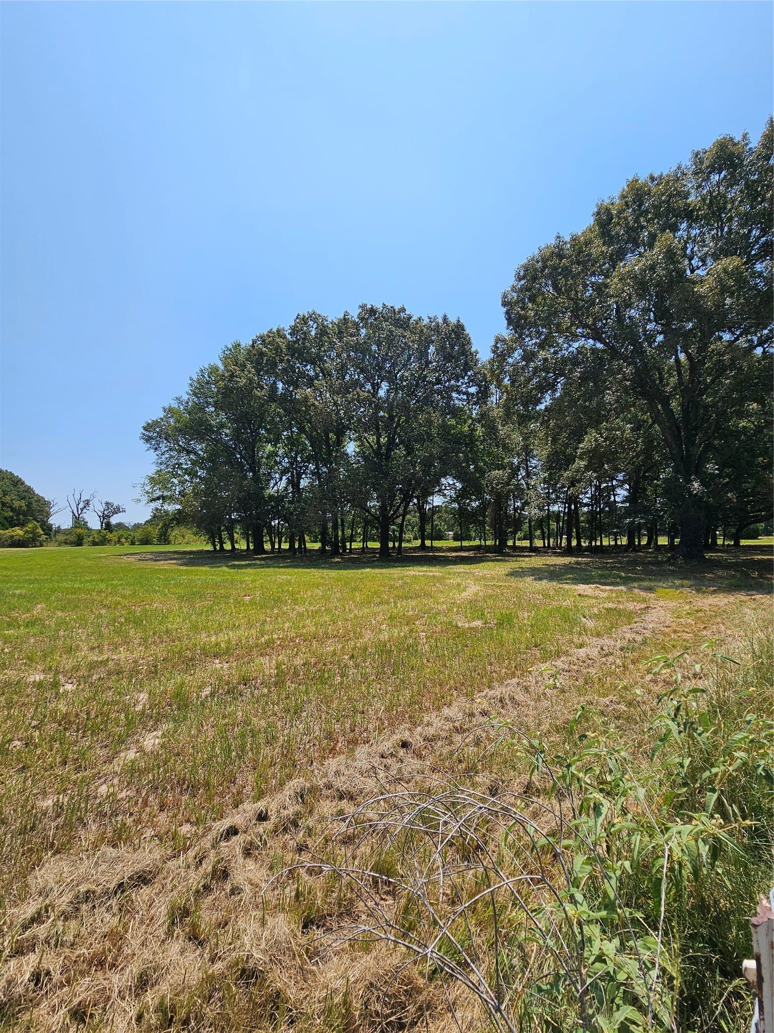 5.1 acres in Henderson County - photo 2
