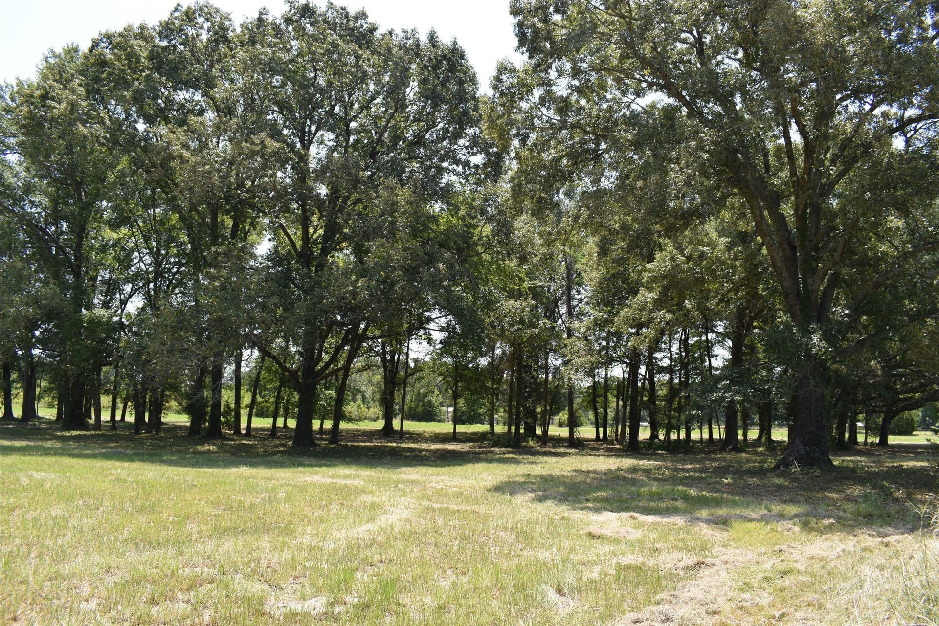 5.1 acres in Henderson County - photo 18