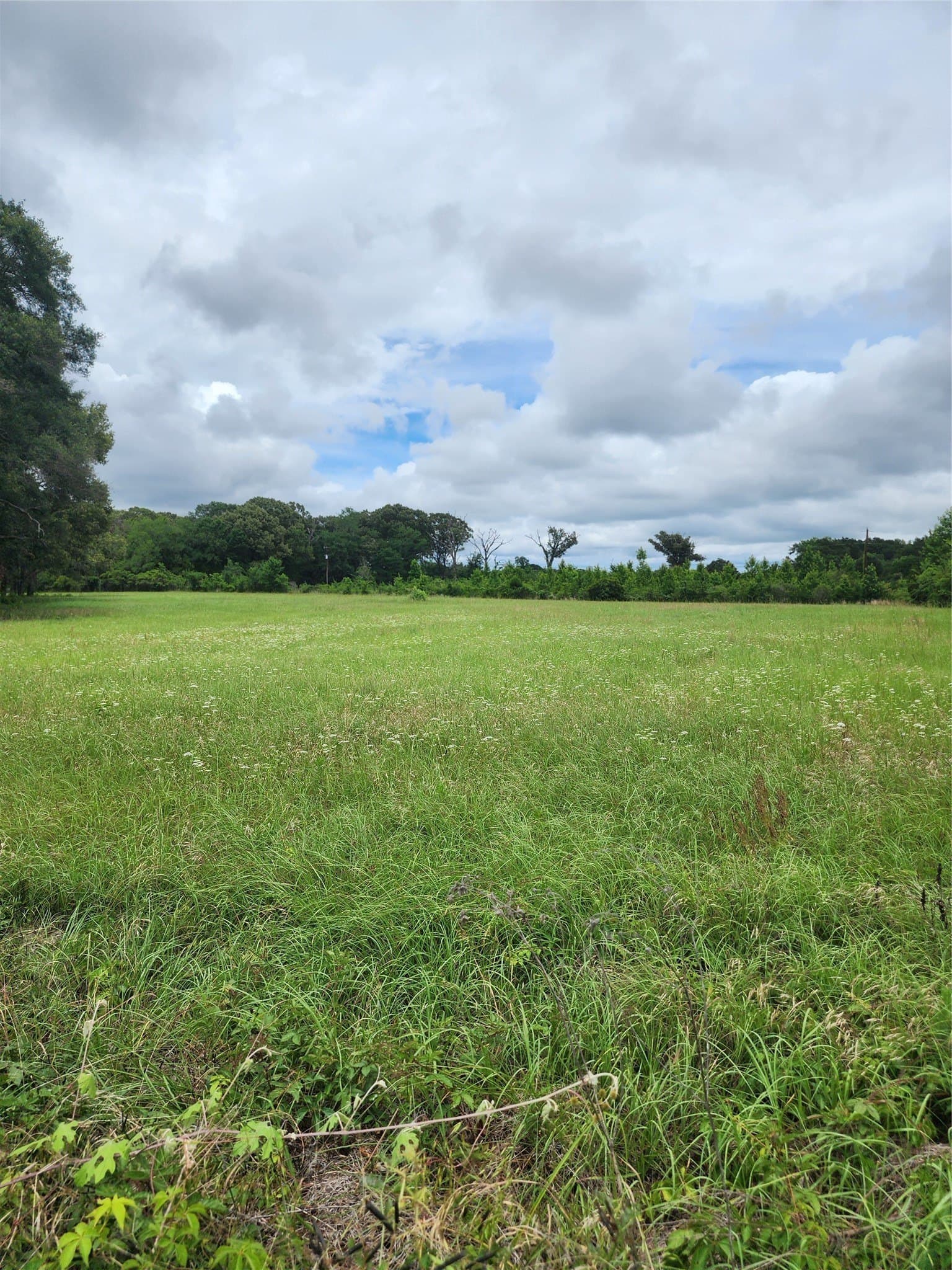 5 acres in Henderson County