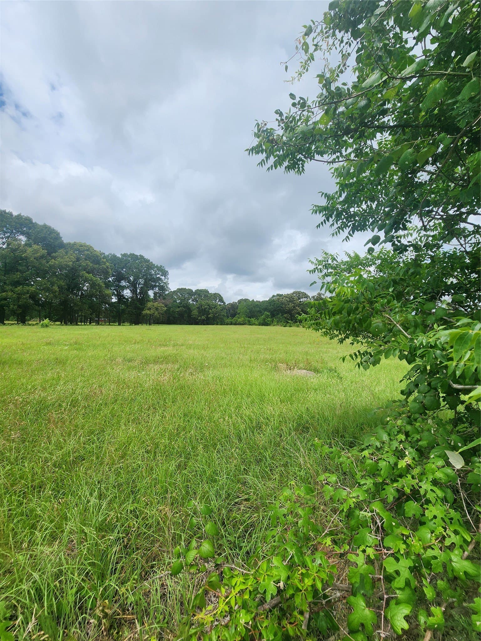 5 acres in Henderson County featured view