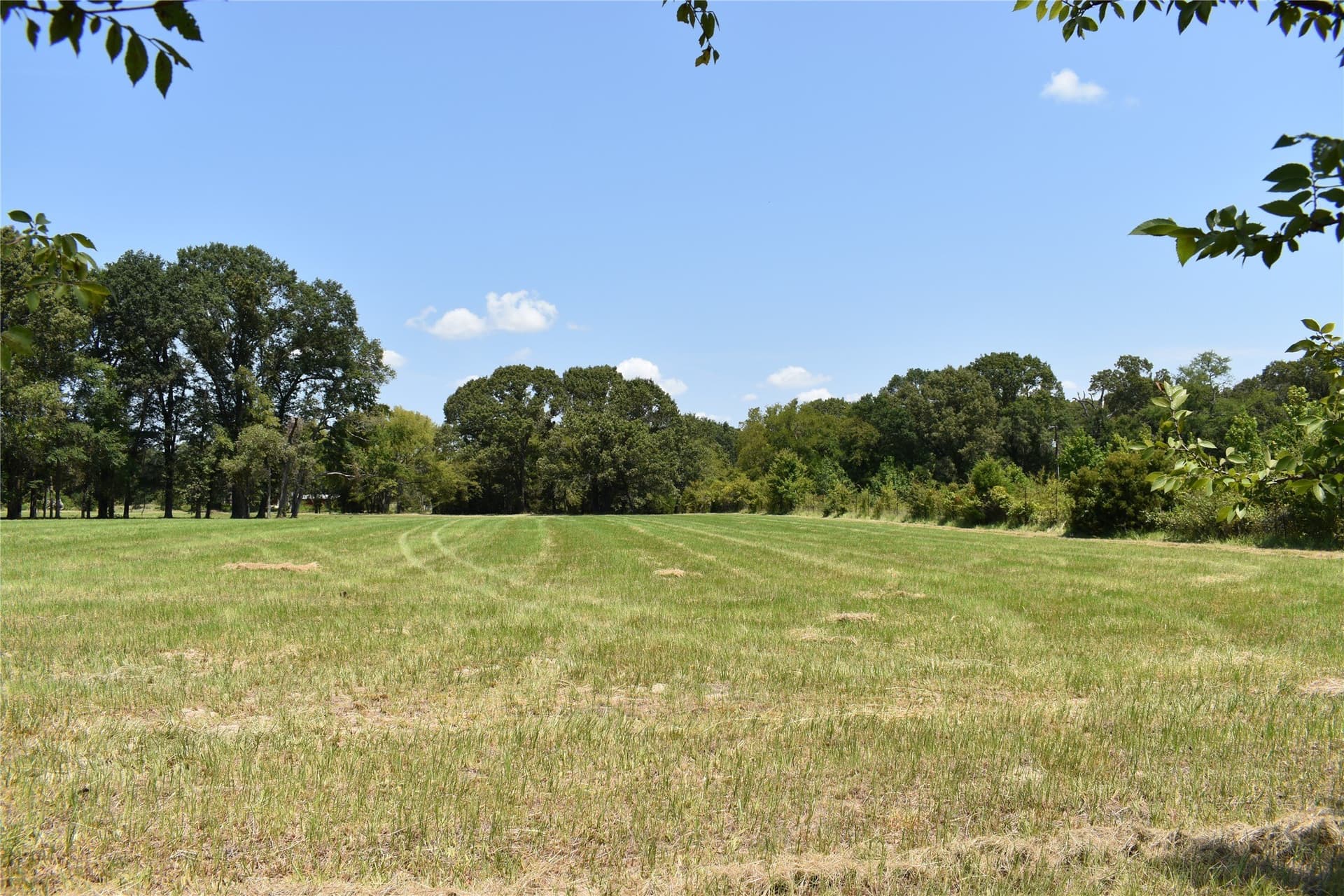 5.1 acres in Henderson County - photo 11